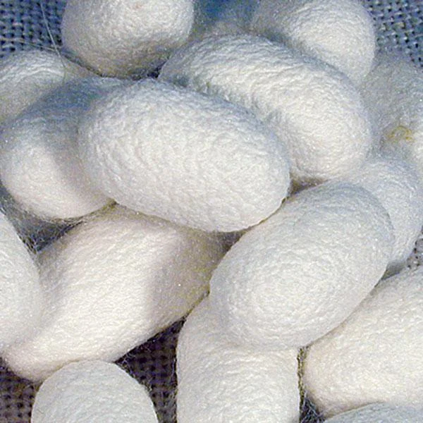 woolery31599